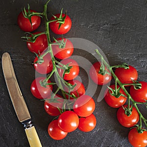 Piccolo tomatoes photo