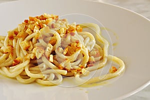 Pici, fresh pasta typical of Tuscany, Italy