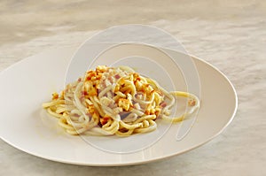 Pici, fresh pasta typical of Tuscany, Italy