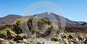 Pick of the Teide volcano in Tenerife photo