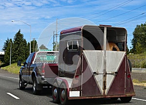 Pick-up truck hauling horse trailer
