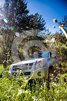 Pick-up truck and long grasses