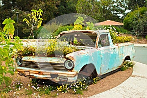 Pick up ute truck overgrown with field flowers