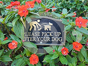 Pick up after your dog sign