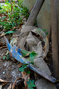 A pickaxe, or pick is a generally T-shaped hand tool used for prying. Garden tools in an organic Indian farmland, traditional photo