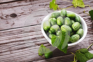 Picked cucamelon in white bowl