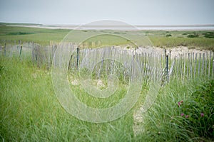 Picket fence at the beach in cape cod