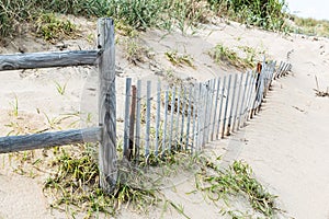 Picket Fence on Beach at Sandbridge