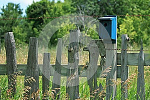 Picket Fence and Birdhouse photo