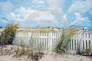 Picket Fence and Dunes