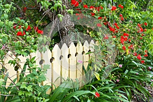 Picket fence photo