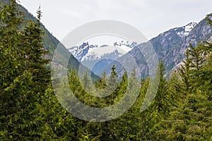 The Picket Range at North Cascades National Park in Washington State during Spring