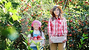 picking apples on farm, in garden. on hot, sunny autumn day. portrait of family of farmers, mother and daughter holding