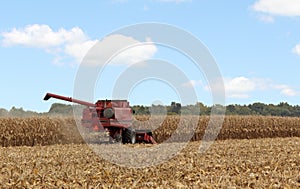 Picking Corn