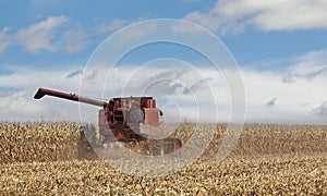 Picking Corn Crop