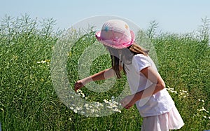 Picking flowers