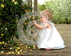 Picking Flowers