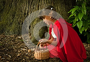 Picking fungi in the forest