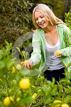 Picking Lemons