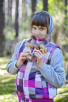 Picking mushrooms