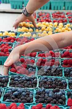 Picking Up Fruits by the Quart at Farmer's Market