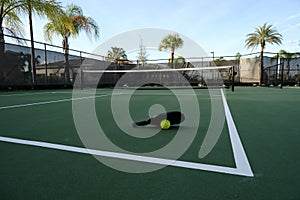 Pickleball Paddle and Ball on Court