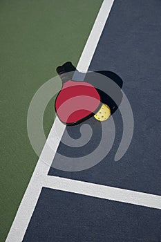 Pickleball Timeout with Paddle and Ball Near Center of Back Line of Court photo