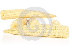 Pickled baby corn isolated on white