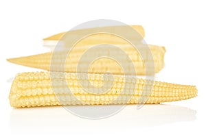 Pickled baby corn isolated on white