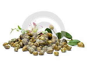 Pickled capers with caper flower on white background