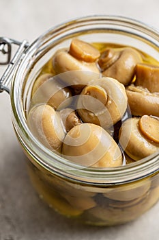 Pickled champignons. Marinated mushrooms