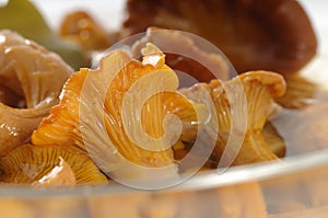 Pickled Chanterelle