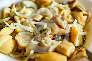 Pickled chopped mushrooms and onion in white bowl. Fermented food. Boletus