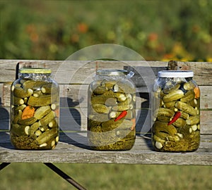 Pickled Cucumbers