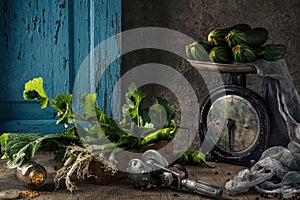 Pickled cucumbers in a glass jar with herbs and dill spices. Canned cucumbers on a dark rustic background. Natural products ready