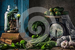 Pickled cucumbers in a glass jar with herbs and dill spices. Canned cucumbers on a dark rustic background. Natural products ready