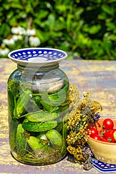 Pickled cucumbers with herbs