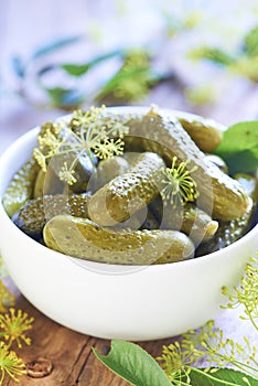 Pickled cucumbers in white bowl