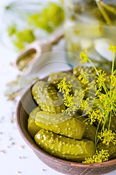 Pickled cucumbers in wooden plate with a sprig of dill