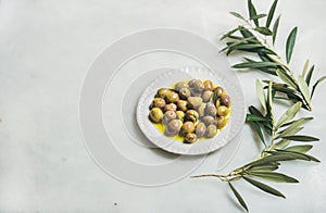 Pickled green Mediterranean olives in virgin oil and olive-tree branch