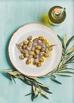 Pickled green olives, olive tree branch, virgin oil, blue background