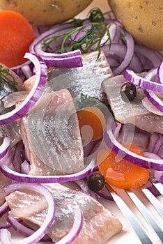 Pickled Herring