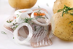 Pickled Herring