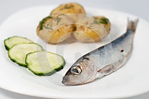 Pickled herring with new potatoes plus chopped cuc