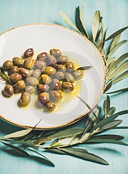 Pickled olives in oil and tree branch over blue background