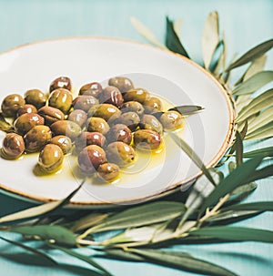 Pickled olives on plate and olive-tree branch over blue background