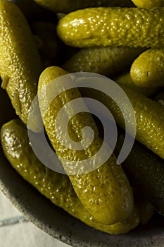 Pickled Organic Cornichon Gherkin Pickles