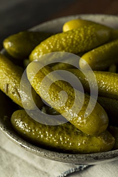 Pickled Organic Cornichon Gherkin Pickles