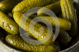 Pickled Organic Cornichon Gherkin Pickles