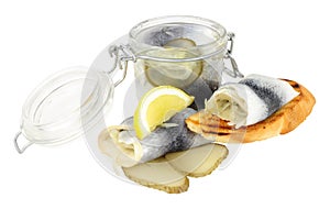 Pickled Rollmop Herrings